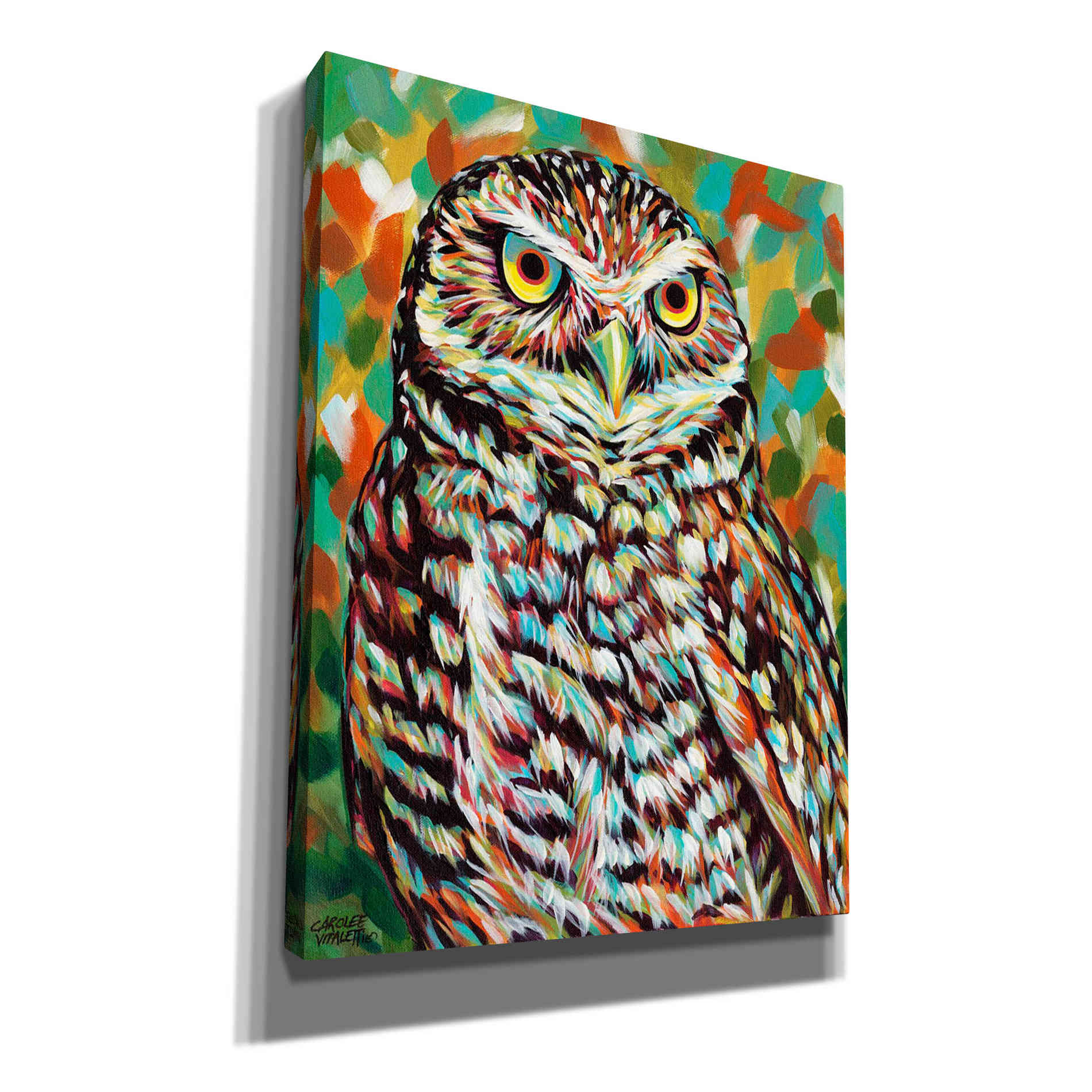 'Furry Feather Friends II' by Carolee Vitaletti Giclee Canvas Wall Art