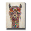 'Hippie Llama II' by Carolee Vitaletti Canvas Wall Art,Size C Portrait