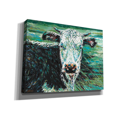 Image of 'Marshland Cow I' by Carolee Vitaletti Giclee Canvas Wall Art