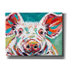 'Piggy II' by Carolee Vitaletti Canvas Wall Art,Size C Landscape