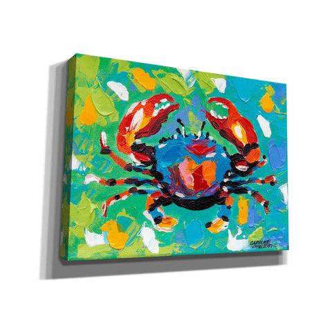 Image of 'Seaside Crab I' by Carolee Vitaletti Giclee Canvas Wall Art