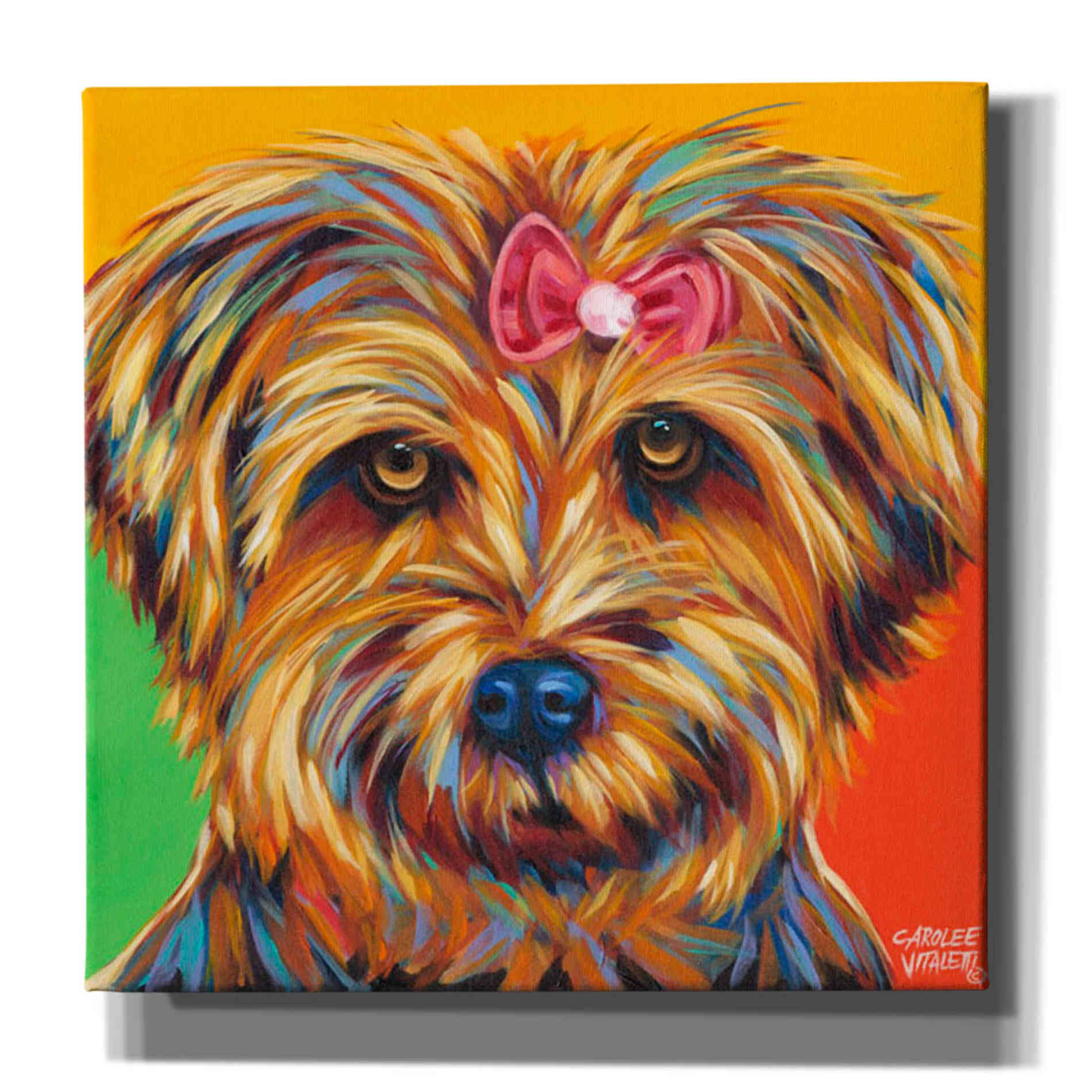 'Sweet Yorkie I' by Carolee Vitaletti Giclee Canvas Wall Art
