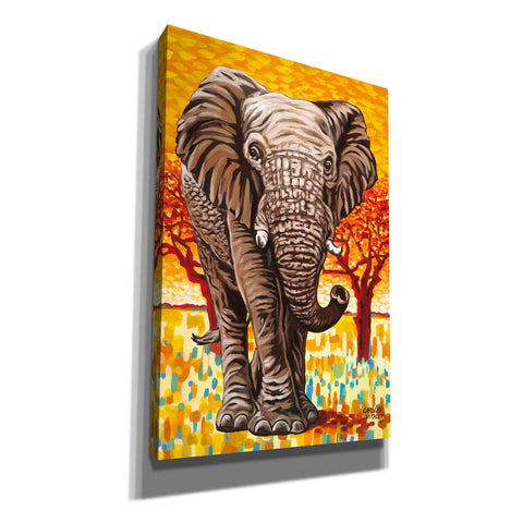 Image of 'Wild Africa I' by Carolee Vitaletti Giclee Canvas Wall Art