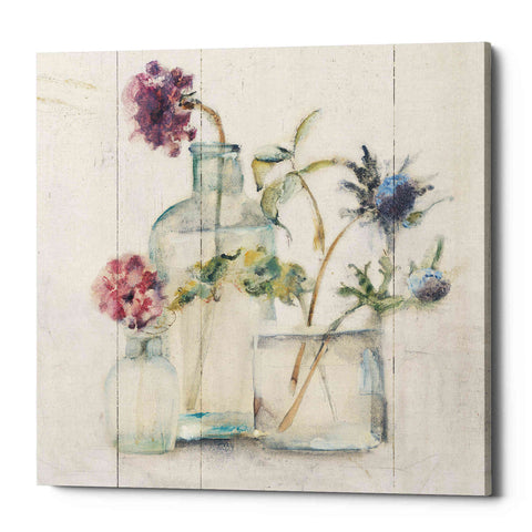 Image of 'Blossoms on Birch II' by Cheri Blum, Canvas Wall Art