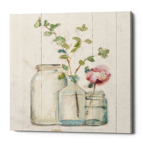 Image of 'Blossoms on Birch IV' by Cheri Blum, Canvas Wall Art