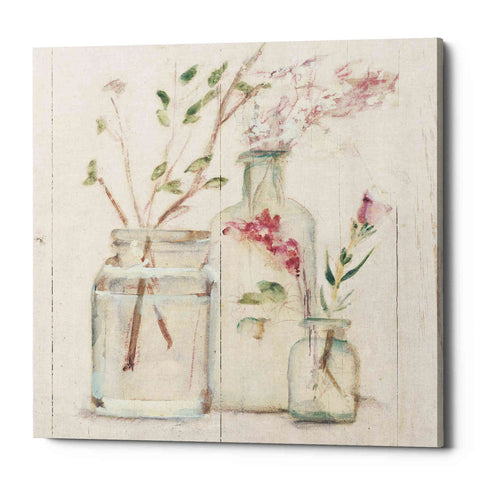 Image of 'Blossoms on Birch VI' by Cheri Blum, Canvas Wall Art