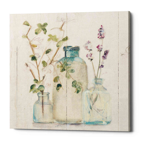 Image of 'Blossoms on Birch V' by Cheri Blum, Canvas Wall Art
