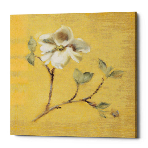 Image of 'Dogwood Blossom on Gold' by Cheri Blum, Canvas Wall Art