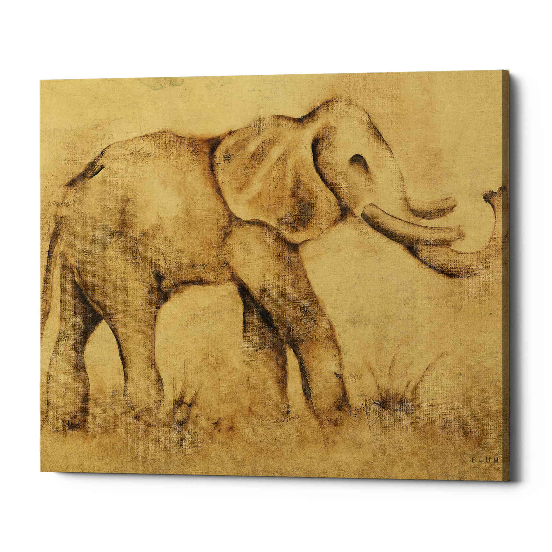 'Global Elephant Light Crop' by Cheri Blum, Canvas Wall Art