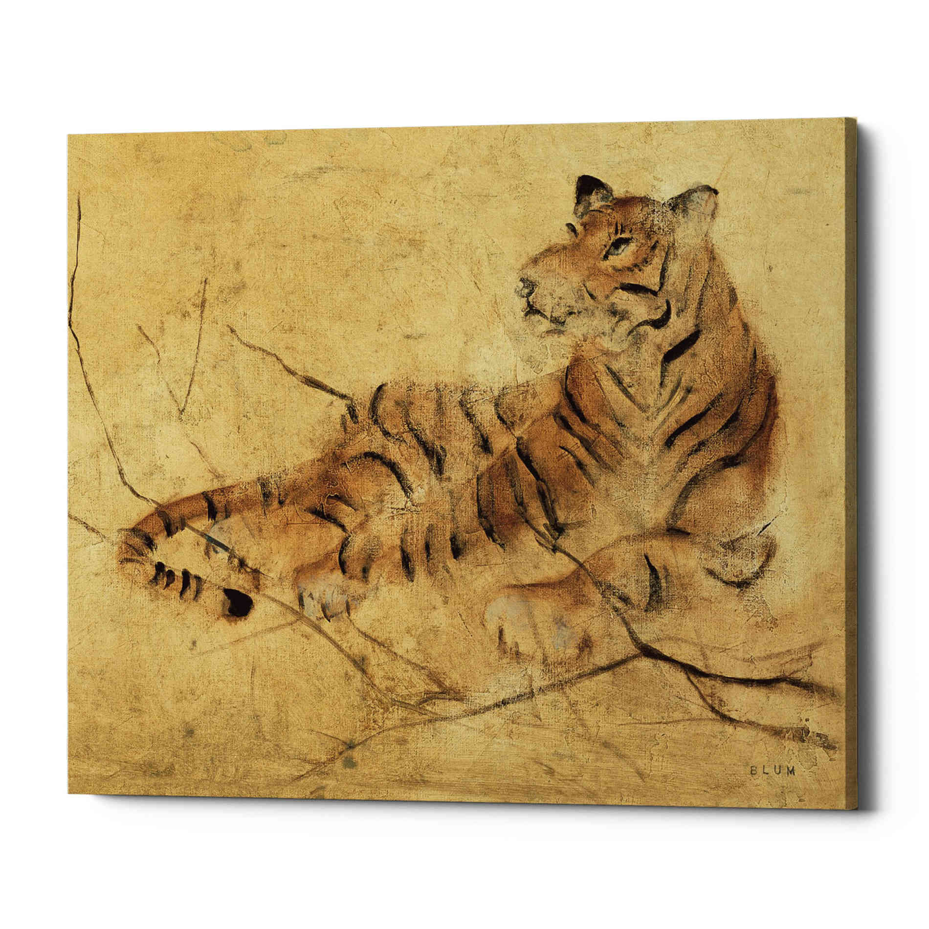'Global Tiger Light Crop' by Cheri Blum, Canvas Wall Art