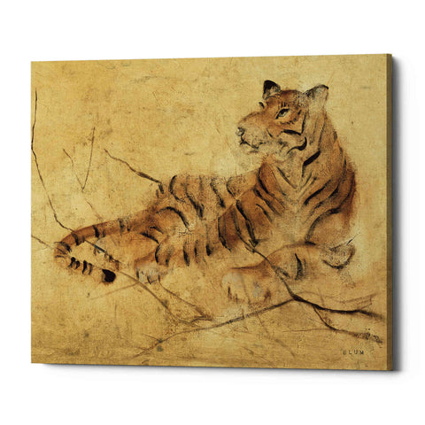 Image of 'Global Tiger Light Crop' by Cheri Blum, Canvas Wall Art