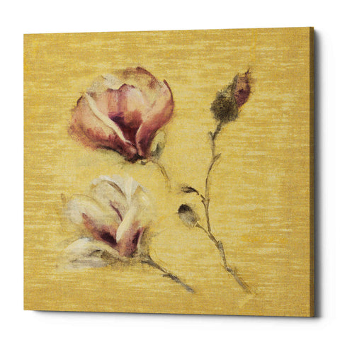 Image of 'Magnolia Blossom on Gold' by Cheri Blum, Canvas Wall Art