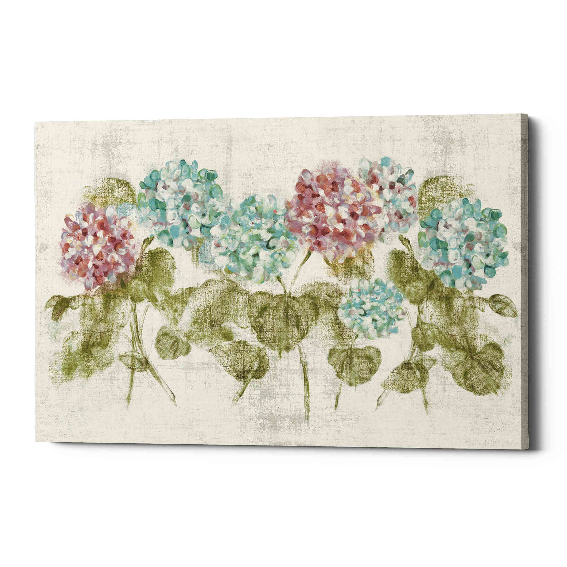 'Vibrant Row of Hydrangea No Border' by Cheri Blum, Canvas Wall Art