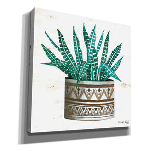 'Mud Cloth Vase V' by Cindy Jacobs, Canvas Wall Art,Size 1 Square