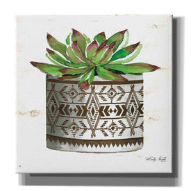'Mud Cloth Vase VI' by Cindy Jacobs, Canvas Wall Art,Size 1 Square