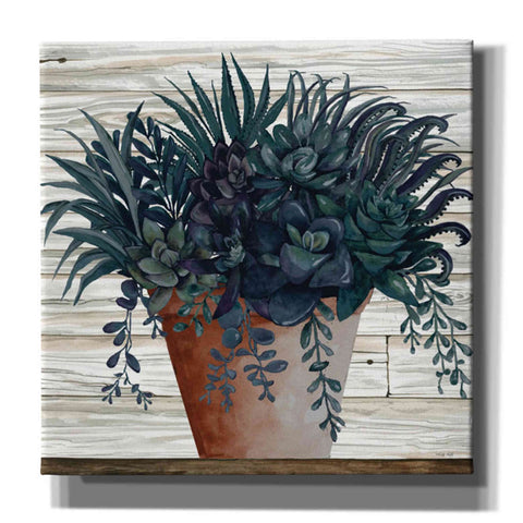 Image of 'Remarkable Succulents I' by Cindy Jacobs, Canvas Wall Art,Size 1 Square