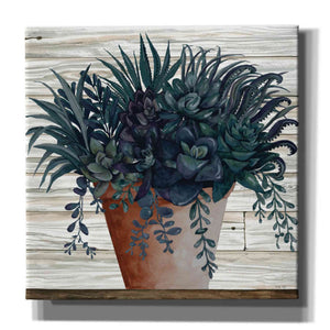 'Remarkable Succulents I' by Cindy Jacobs, Canvas Wall Art,Size 1 Square