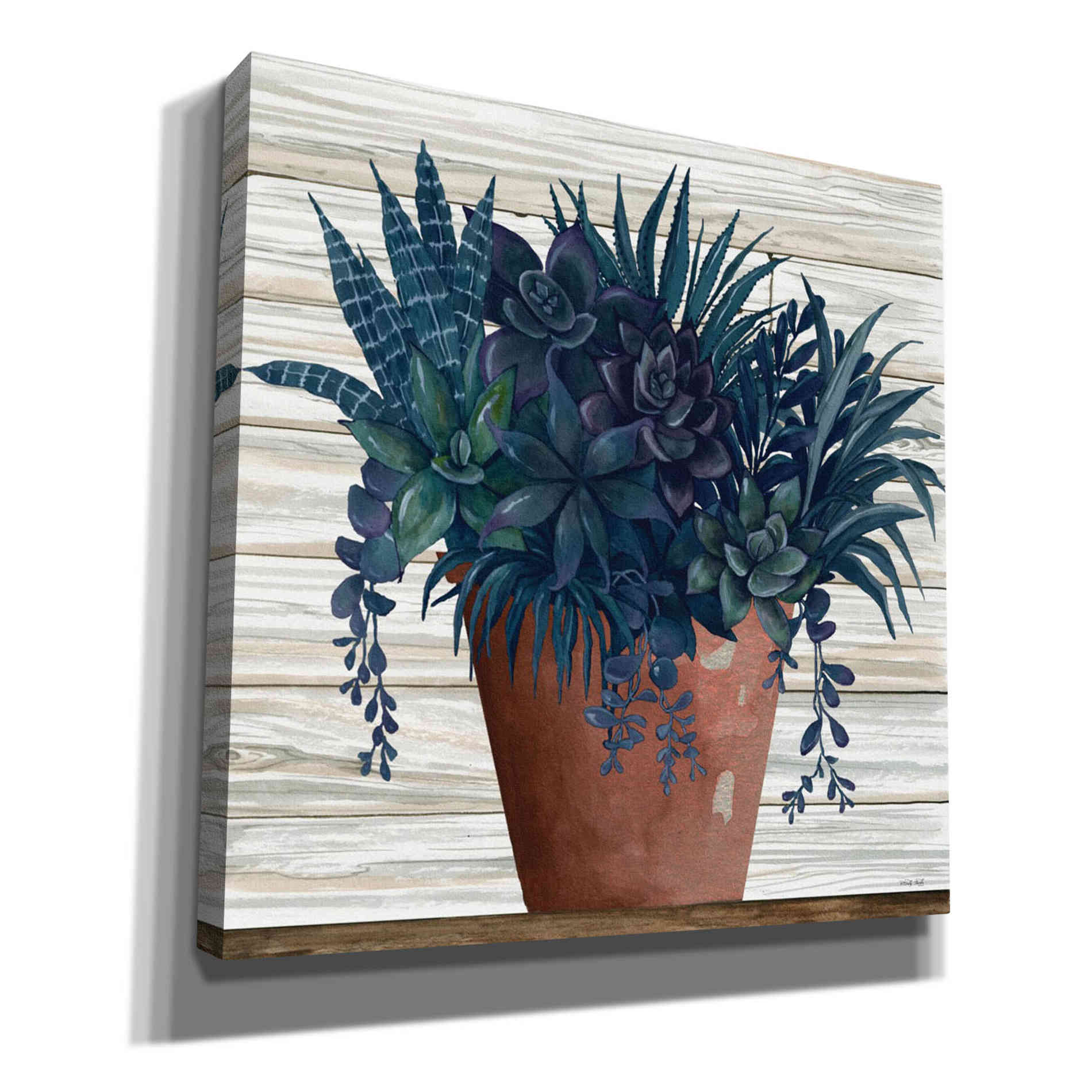 'Remarkable Succulents II' by Cindy Jacobs, Giclee Canvas Wall Art