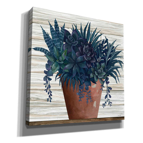 Image of 'Remarkable Succulents II' by Cindy Jacobs, Canvas Wall Art,Size 1 Square