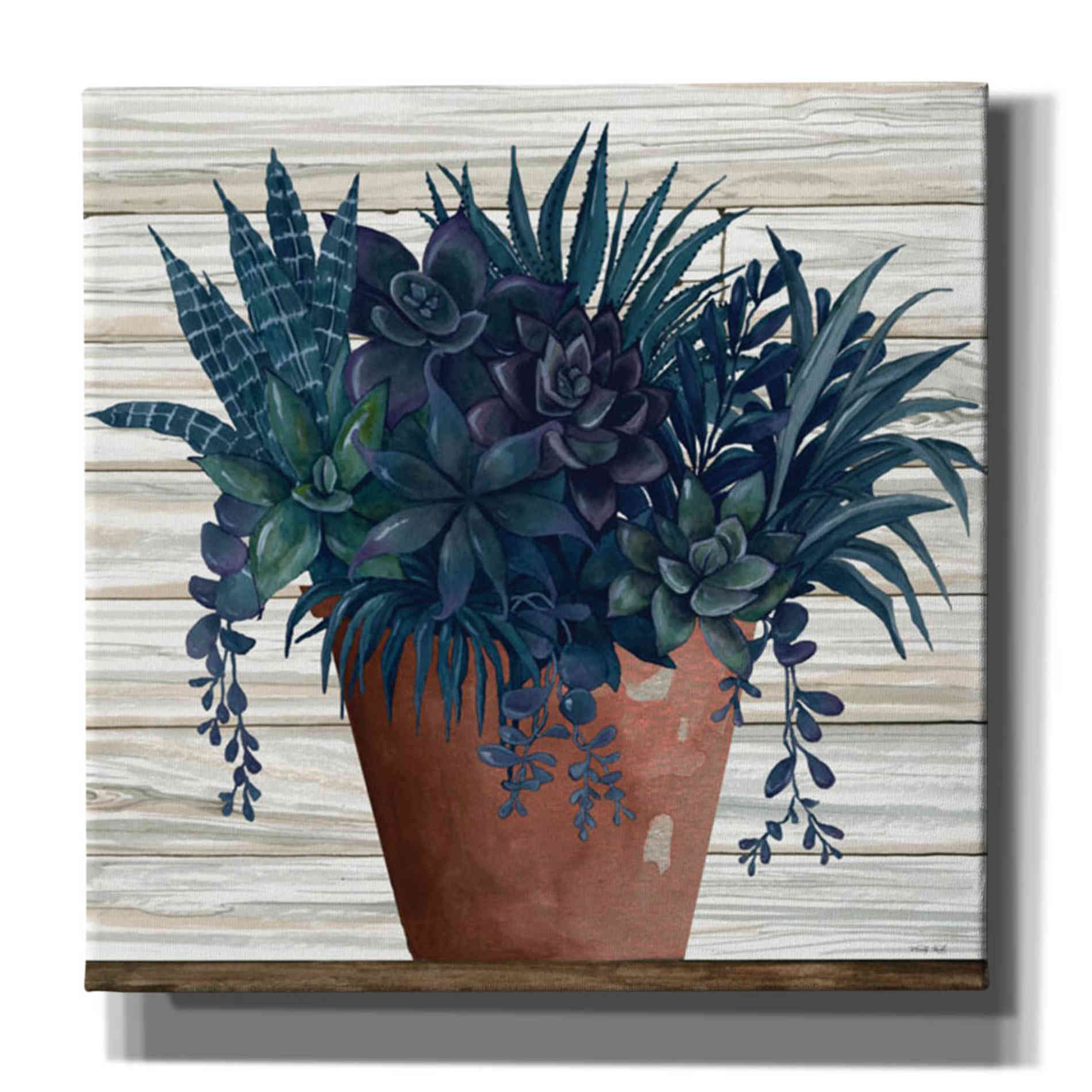 'Remarkable Succulents II' by Cindy Jacobs, Canvas Wall Art,Size 1 Square