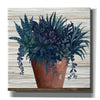 'Remarkable Succulents II' by Cindy Jacobs, Giclee Canvas Wall Art