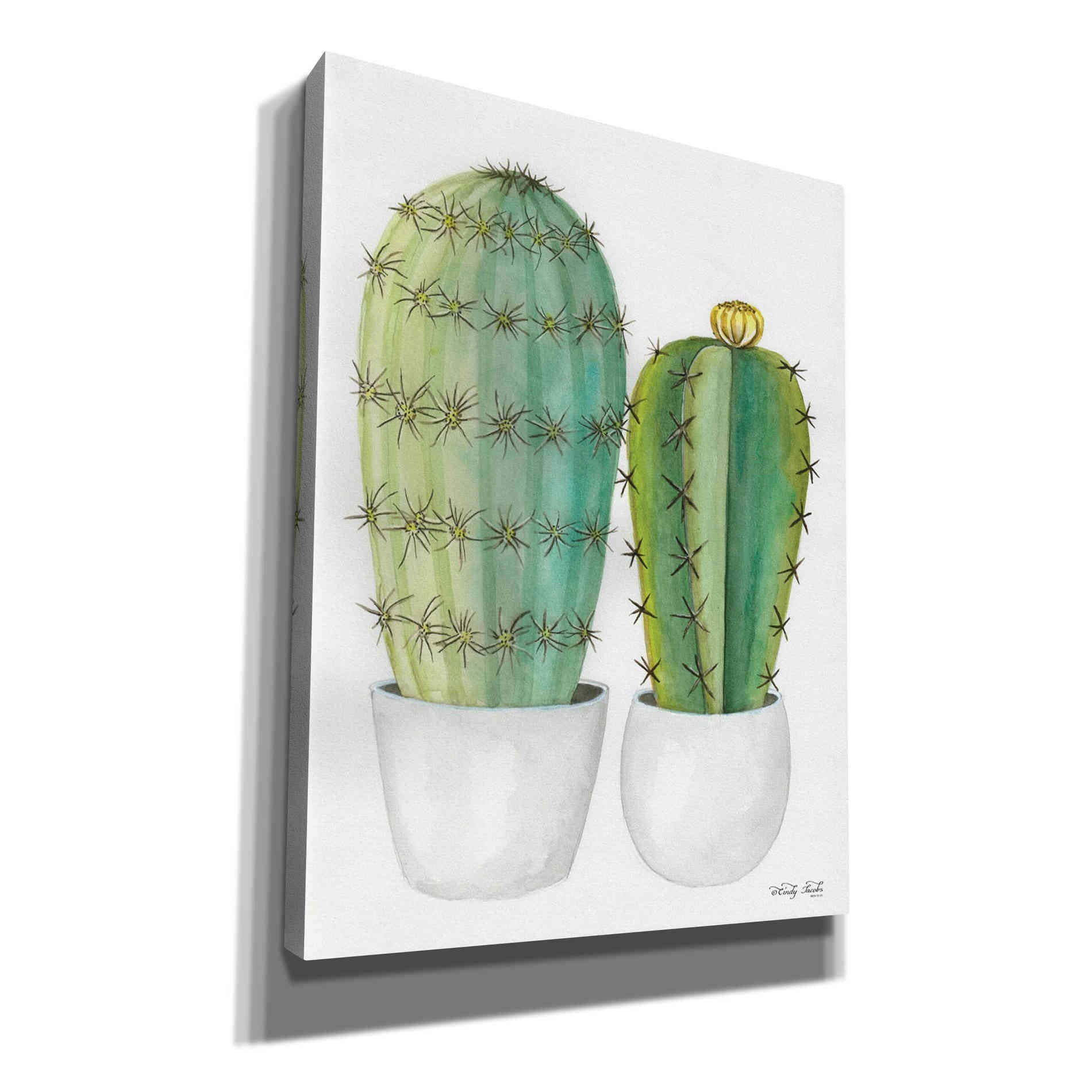 'Cactus Love' by Cindy Jacobs, Giclee Canvas Wall Art