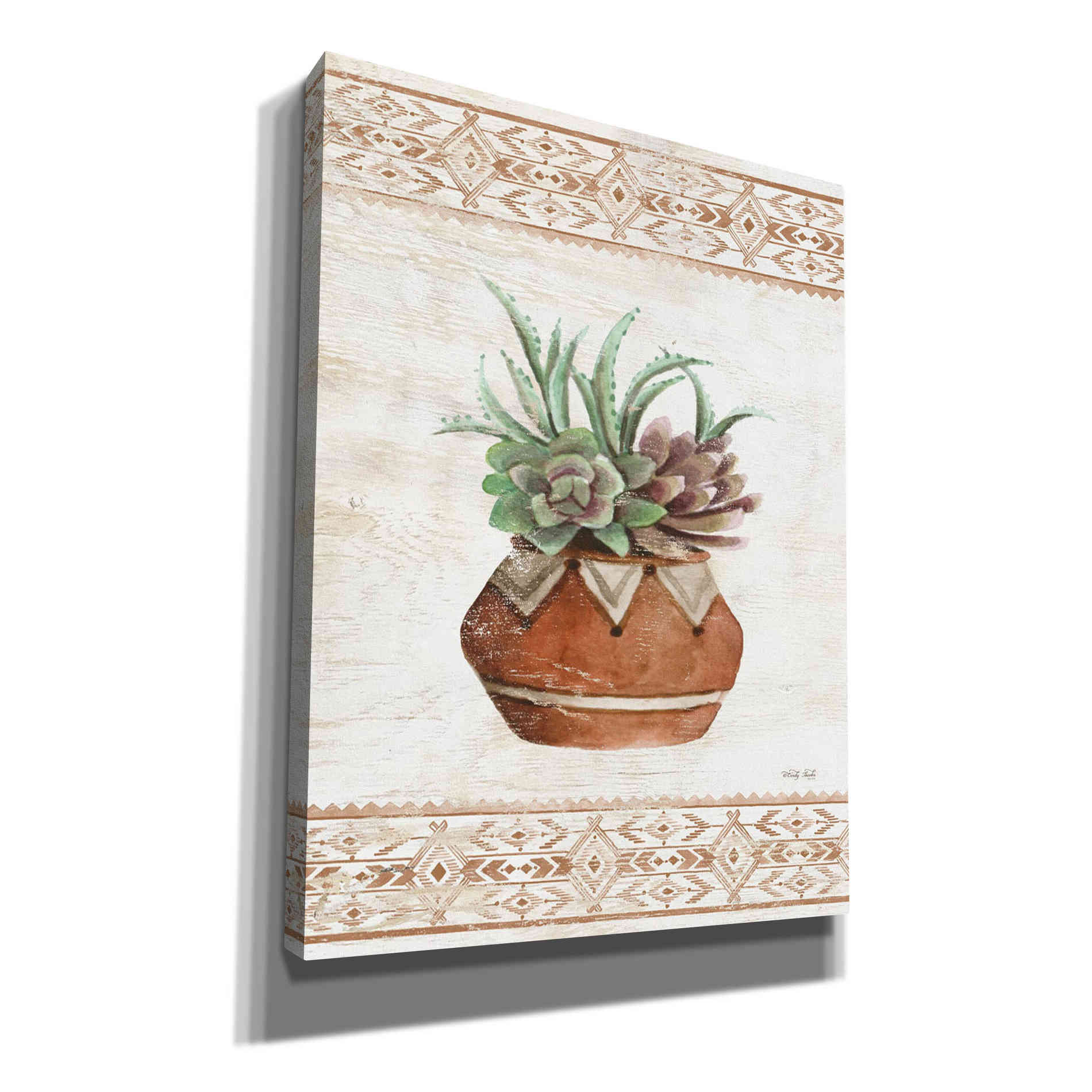 'Southwest Terracotta Succulents II' by Cindy Jacobs, Giclee Canvas Wall Art