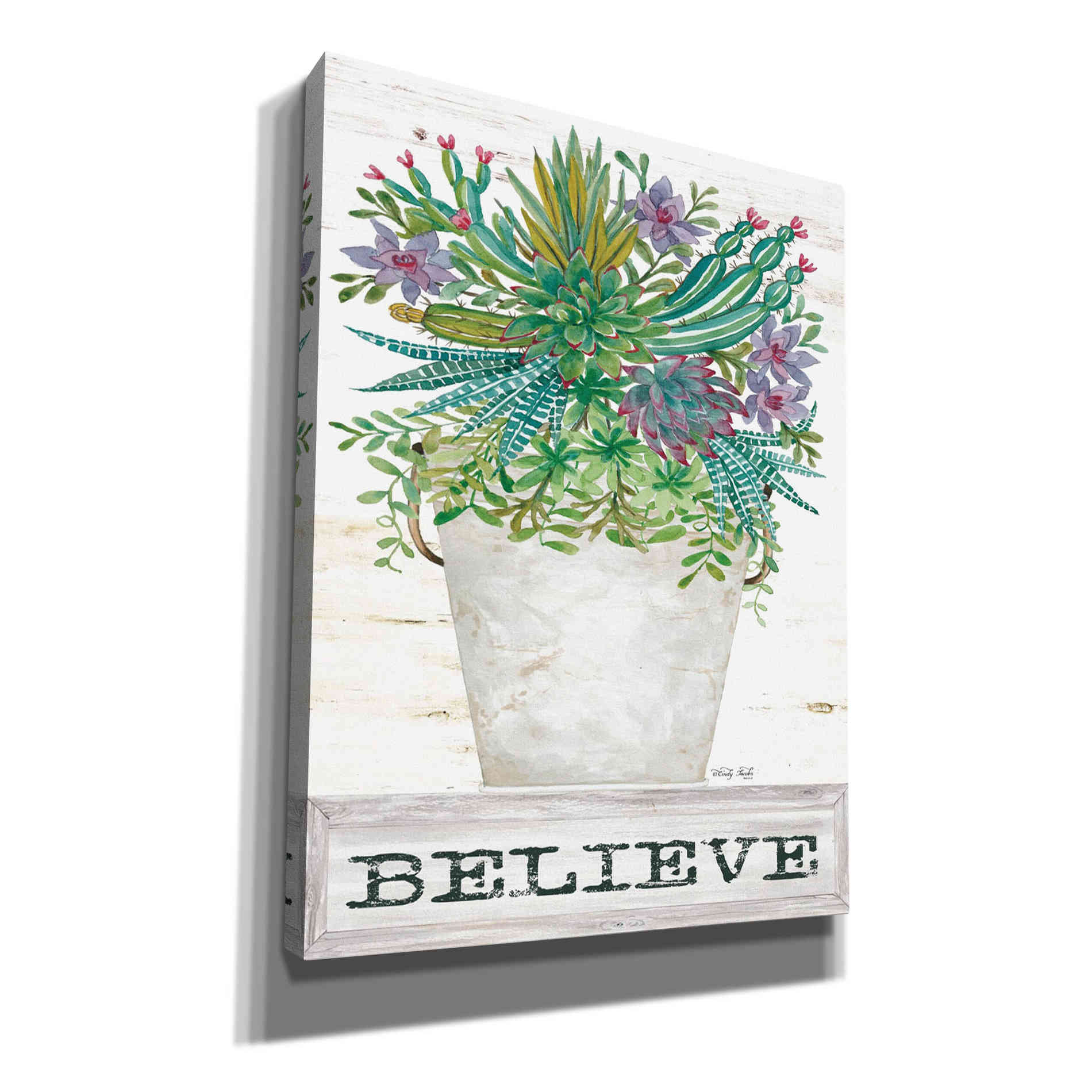 'Believe Succulents' by Cindy Jacobs, Canvas Wall Art,Size B Portrait