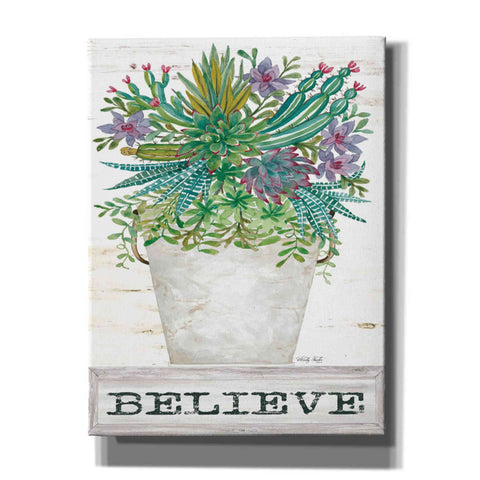 Image of 'Believe Succulents' by Cindy Jacobs, Canvas Wall Art,Size B Portrait