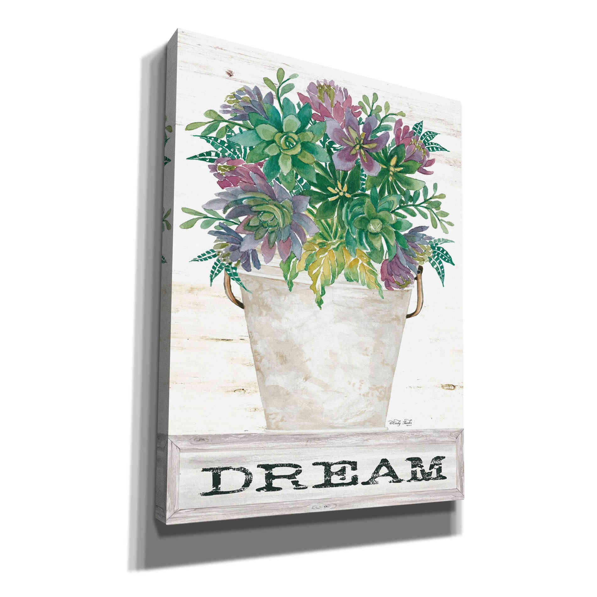 'Dream Succulents' by Cindy Jacobs, Canvas Wall Art,Size B Portrait