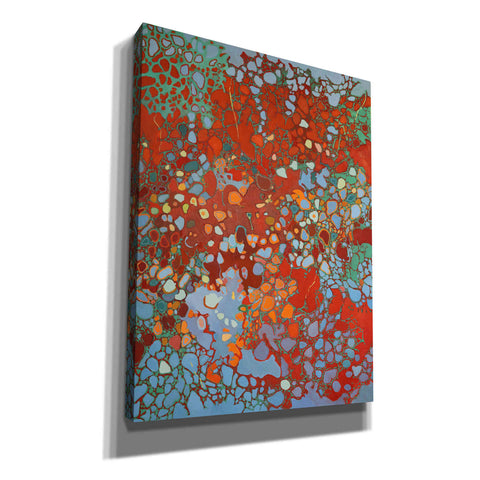 Image of 'Cellular Jazz' by Judith D'Agostino, Giclee Canvas Wall Art