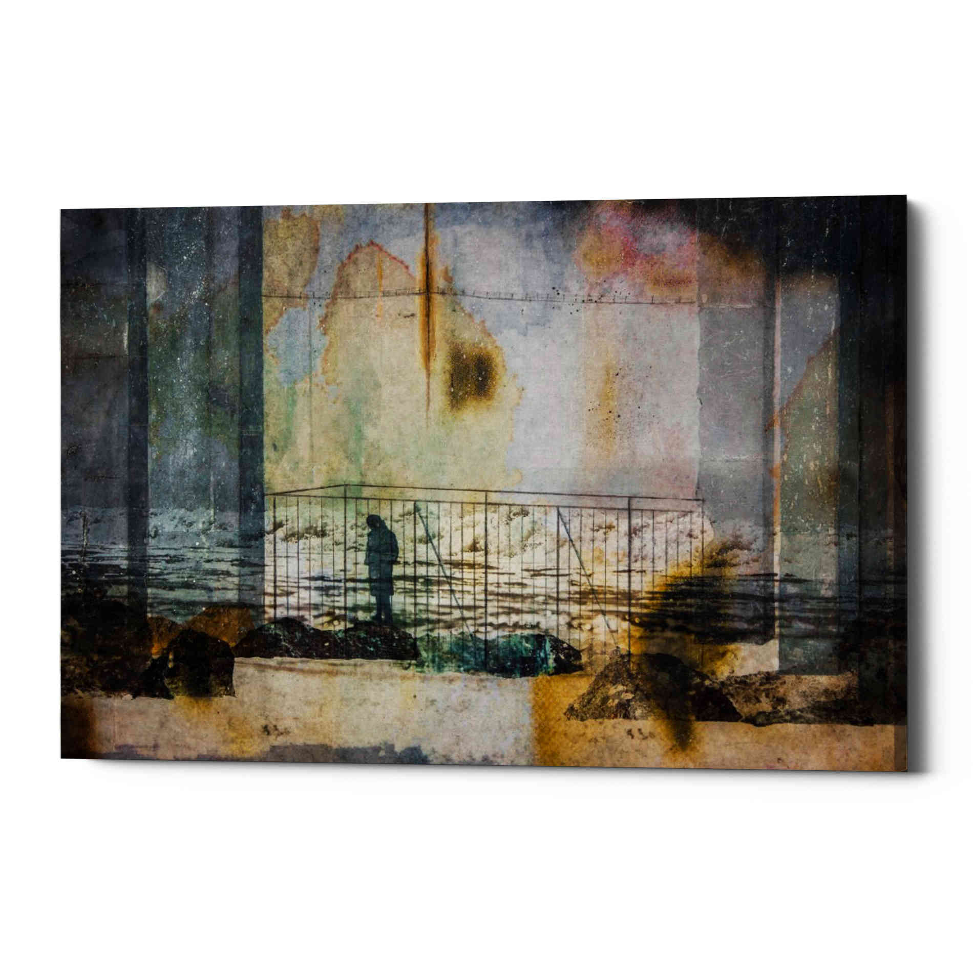 'CAPTURED' by DB Waterman, Giclee Canvas Wall Art