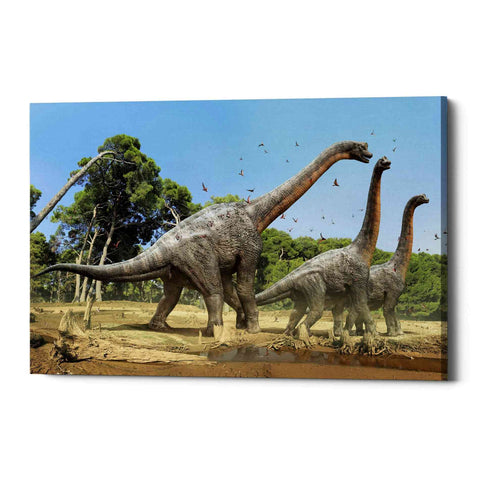 Image of 'Brachiosaurus' Canvas Wall Art
