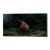 'Watering Hole' Canvas Wall Art