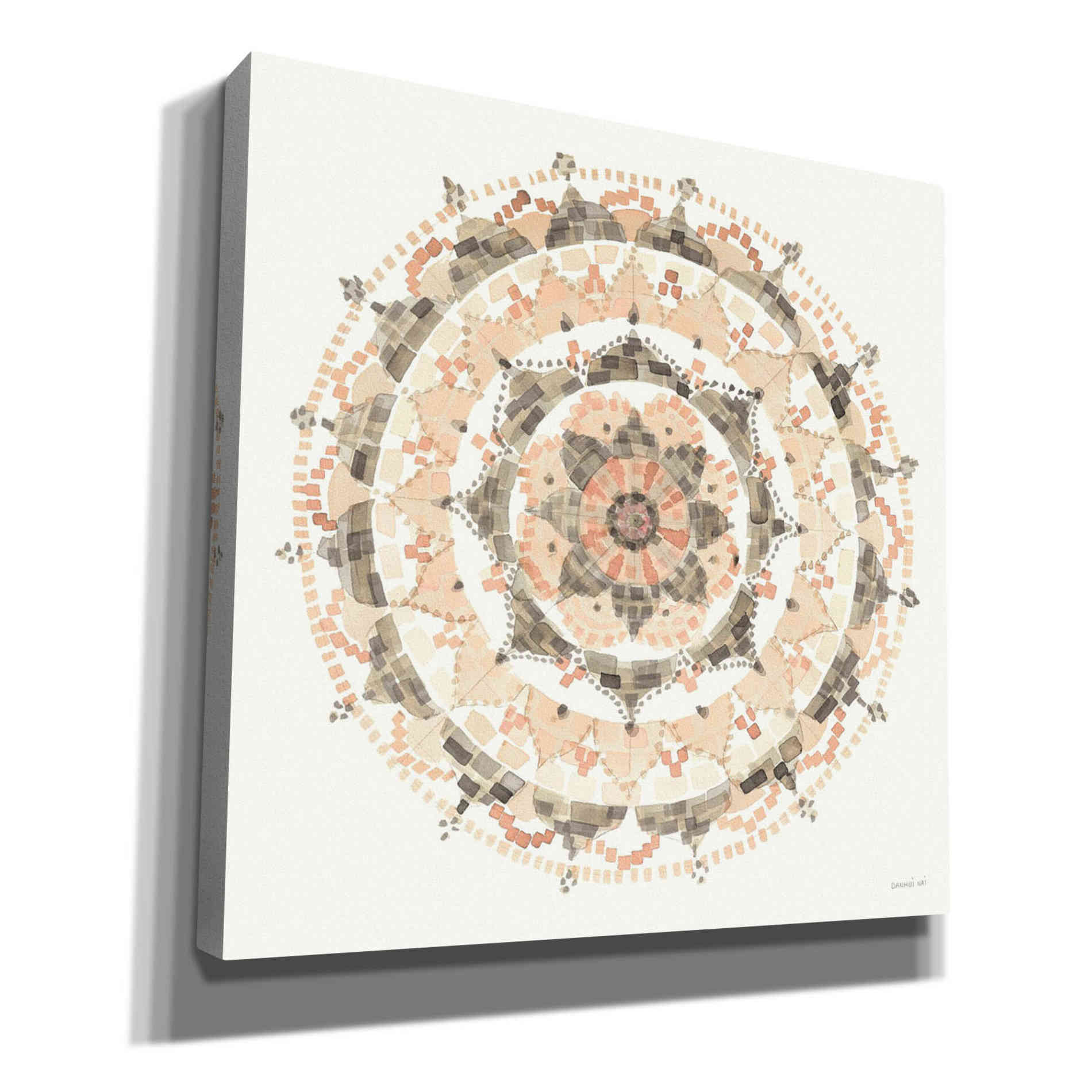 'Blush Mandala' by Danhui Nai, Canvas Wall Art,Size 1 Sqaure