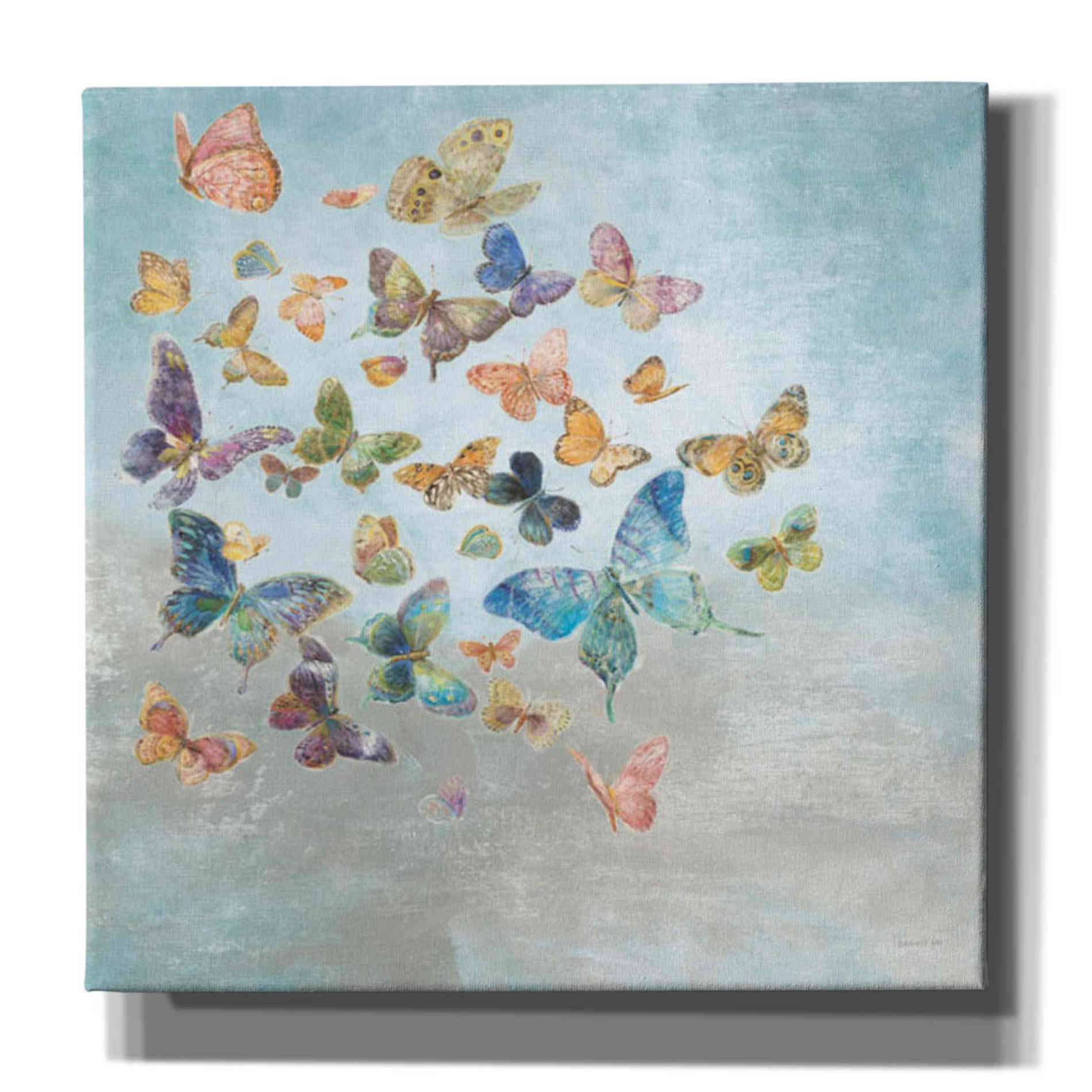 'Beautiful Butterflies v3 Square' by Danhui Nai, Canvas Wall Art,Size 1 Sqaure