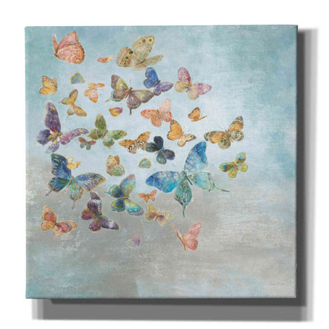 Image of 'Beautiful Butterflies v3 Square' by Danhui Nai, Canvas Wall Art,Size 1 Sqaure