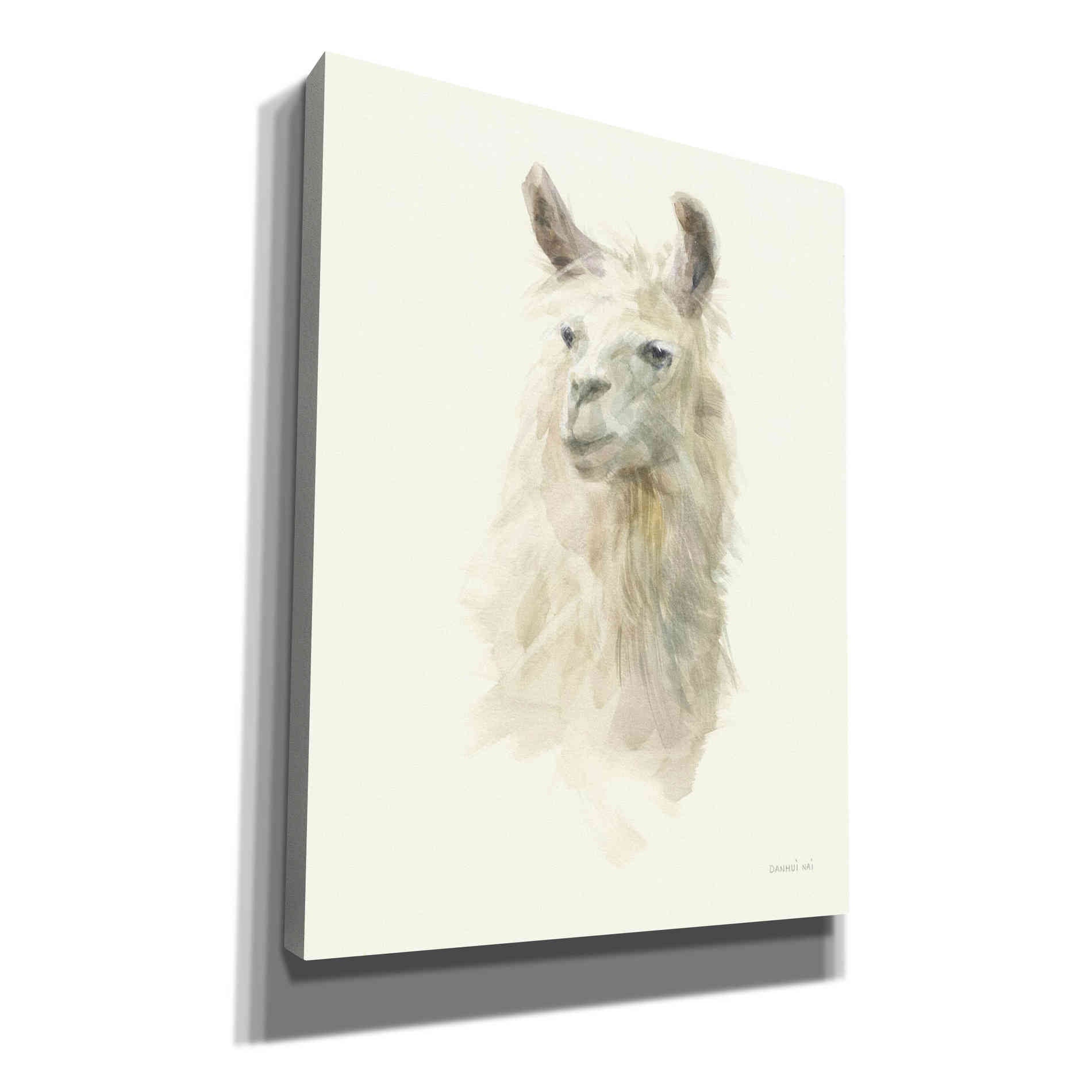 'Classic Llamas II' by Danhui Nai, Canvas Wall Art,Size B Portrait