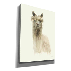 'Classic Llamas I' by Danhui Nai, Canvas Wall Art,Size B Portrait