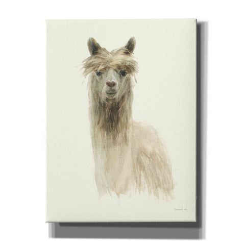 Image of 'Classic Llamas I' by Danhui Nai, Canvas Wall Art,Size B Portrait