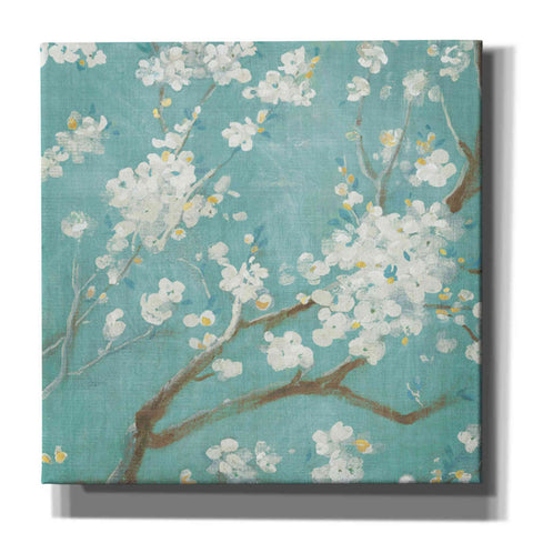 Image of 'White Cherry Blossom I on Blue' by Danhui Nai, Canvas Wall Art