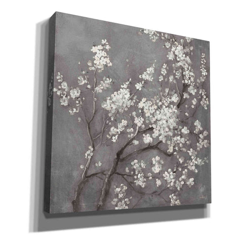 Image of 'White Cherry Blossom I on Grey' by Danhui Nai, Canvas Wall Art