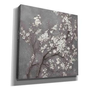 'White Cherry Blossom I on Grey' by Danhui Nai, Canvas Wall Art