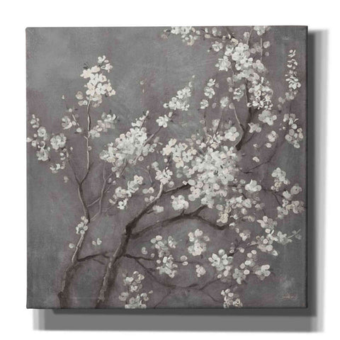 Image of 'White Cherry Blossom I on Grey' by Danhui Nai, Canvas Wall Art