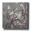 'White Cherry Blossom I on Grey' by Danhui Nai, Canvas Wall Art