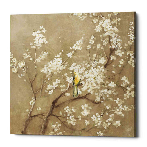 Image of 'White Cherry Blossom I Neutral' by Danhui Nai, Canvas Wall Art