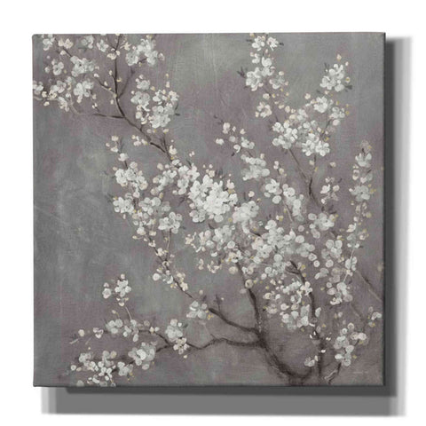 Image of 'White Cherry Blossom II on Grey' by Danhui Nai, Canvas Wall Art