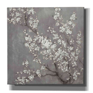 'White Cherry Blossom II on Grey' by Danhui Nai, Canvas Wall Art