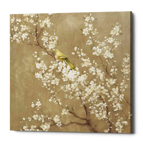 Image of 'White Cherry Blossom II Neutral' by Danhui Nai, Canvas Wall Art