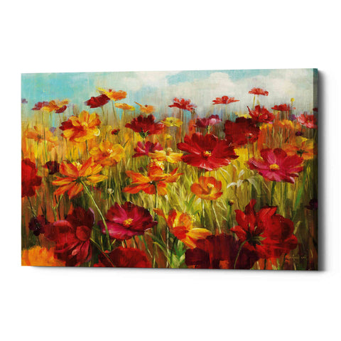 Image of 'Cosmos in the Field' by Danhui Nai, Canvas Wall Art